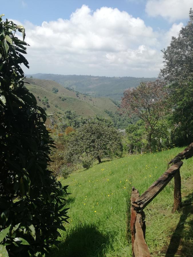 Ecorefugio Las Mirlas Salento Eksteriør bilde