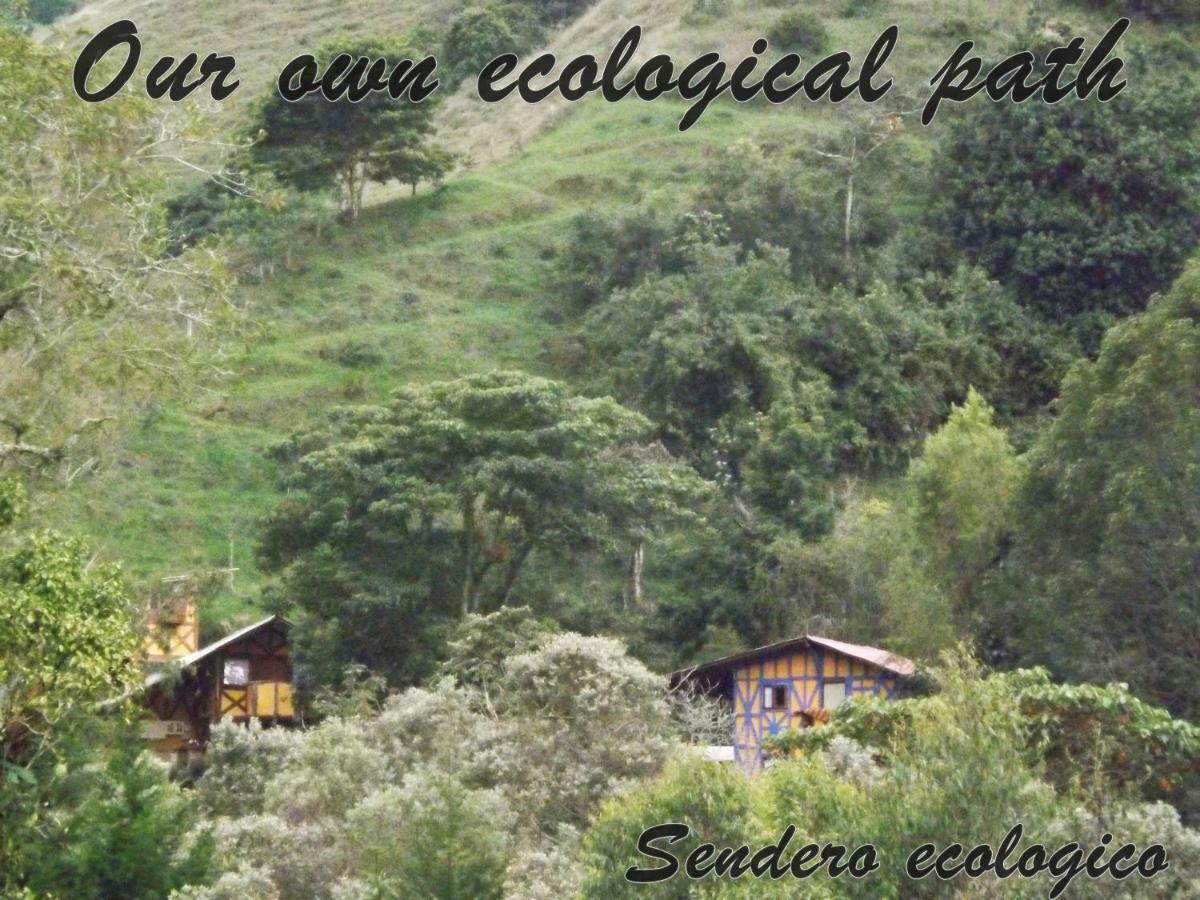 Ecorefugio Las Mirlas Salento Eksteriør bilde