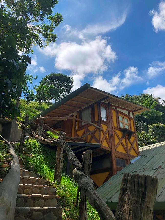 Ecorefugio Las Mirlas Salento Eksteriør bilde